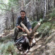 Cazar ibex Sierra Nevada