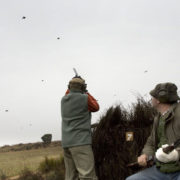 Partridge hunting in Spain