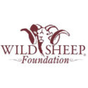wild sheep foundation