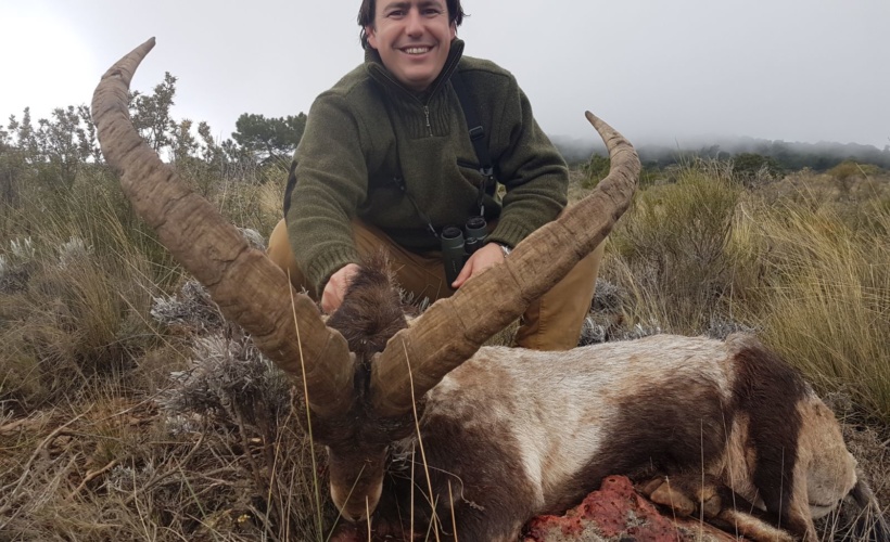 Pro Hunting Spain