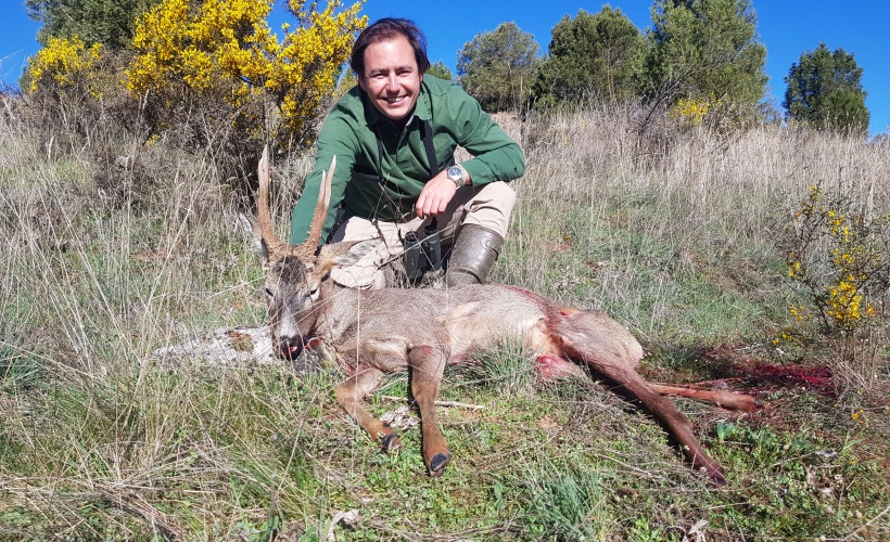 Roe deer Hunting in Spain